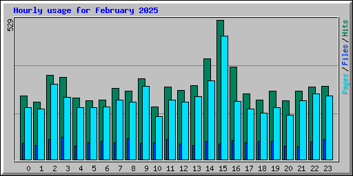 Hourly usage for February 2025