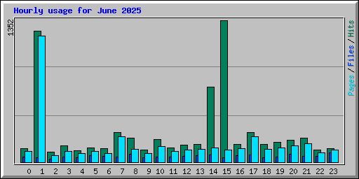 Hourly usage for June 2025